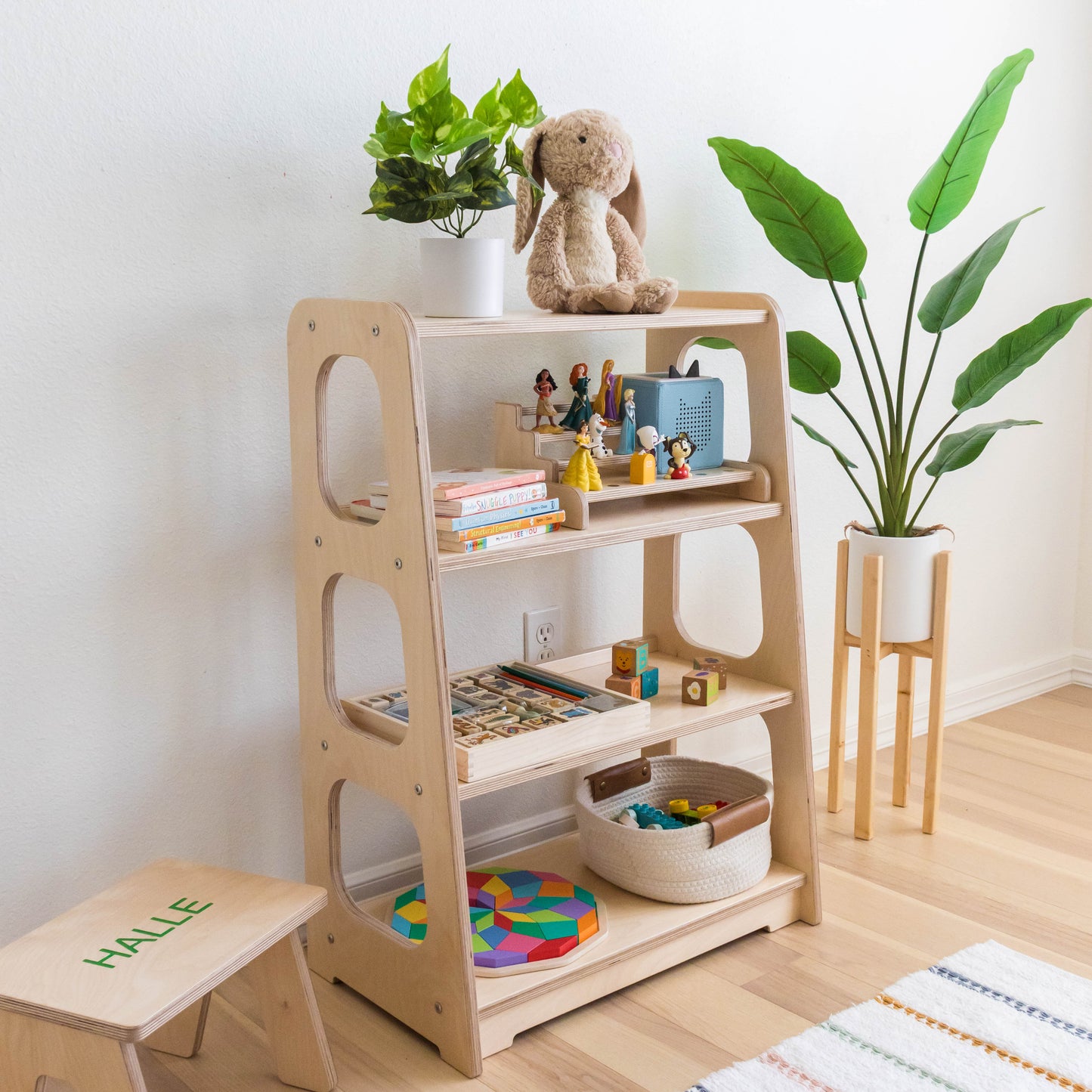 Toy Shelf