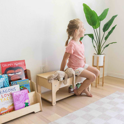 Storage Bench