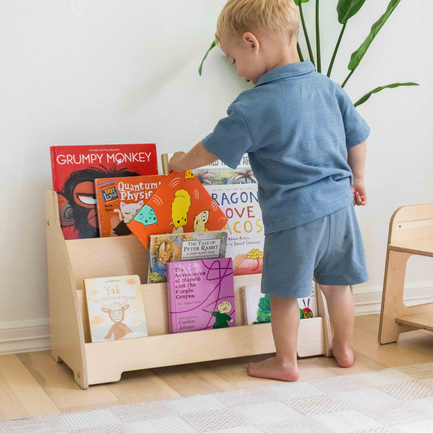 Kids Bookshelf