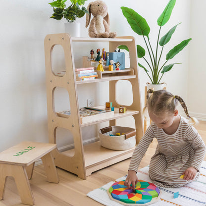 Toy Shelf