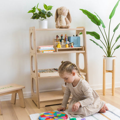 Toy Shelf