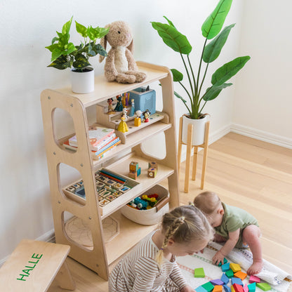 Toy Shelf